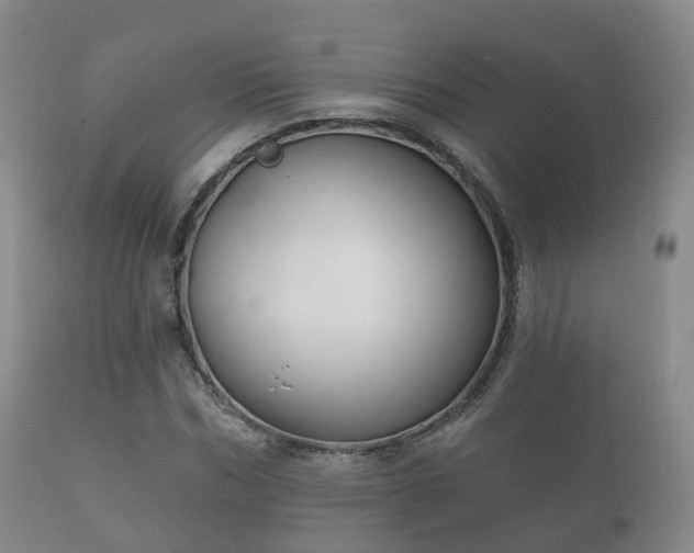 X0000112350970200908201436