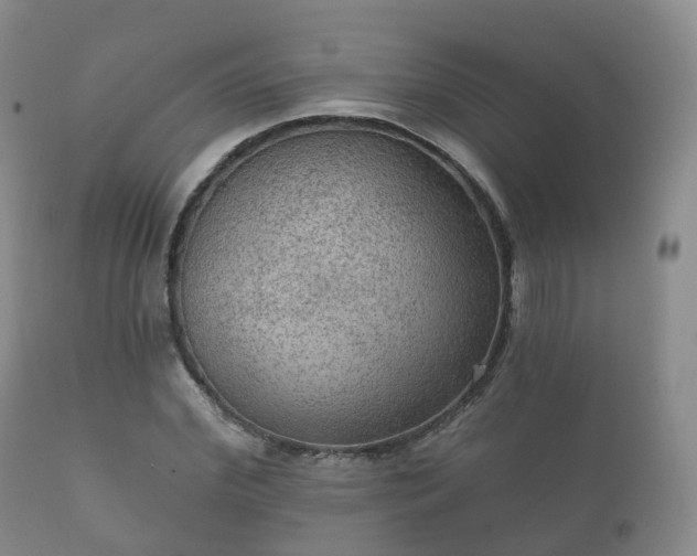 X0000112350972200908201436