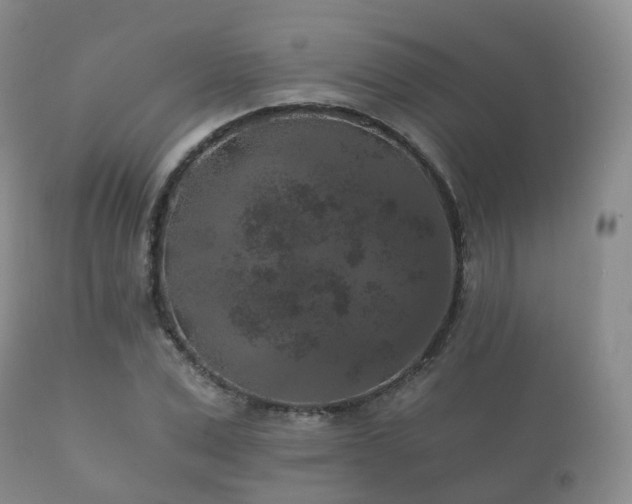 X0000112350975200908201436