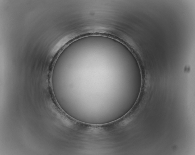 X0000112350978200908201436