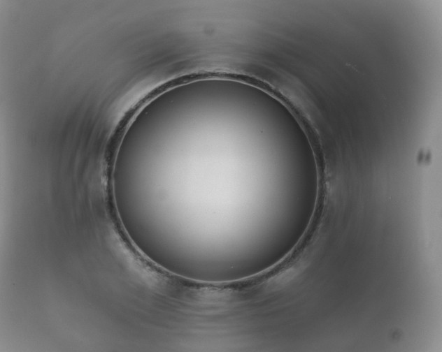 X0000112350981200908201436