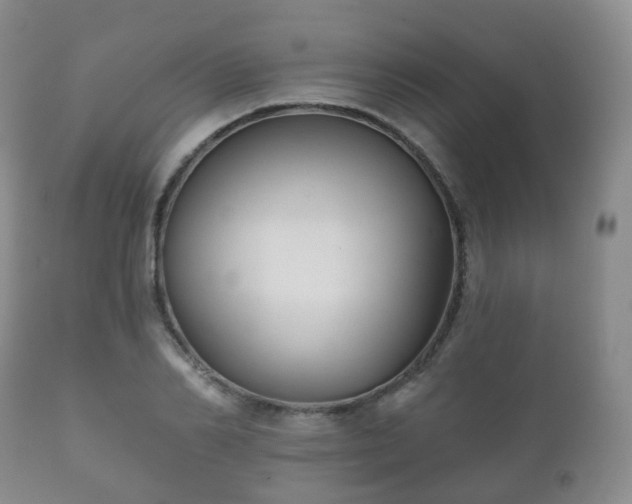 X0000112350982200908201436