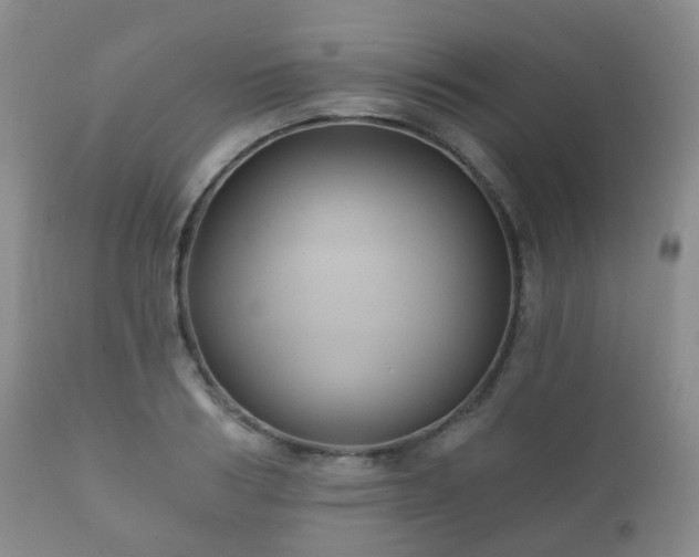 X0000112350986200908201436