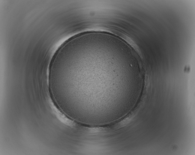 X0000112350988200908201436