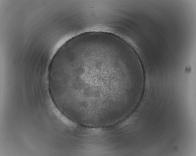X0000112350990200908201436
