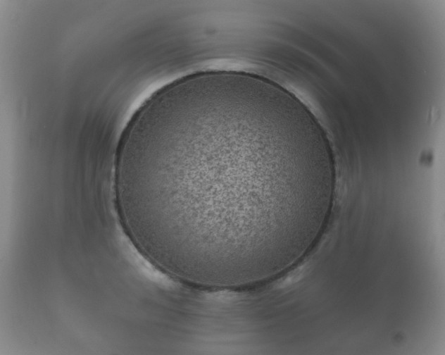 X0000112350992200908201436