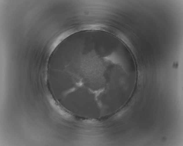 X0000112350994200908201435