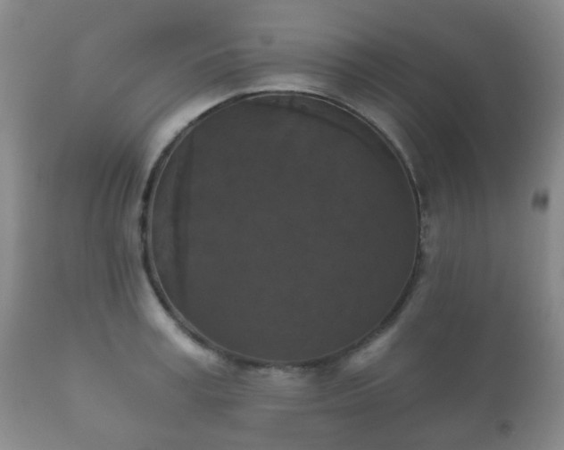 X0000112350995200908201435
