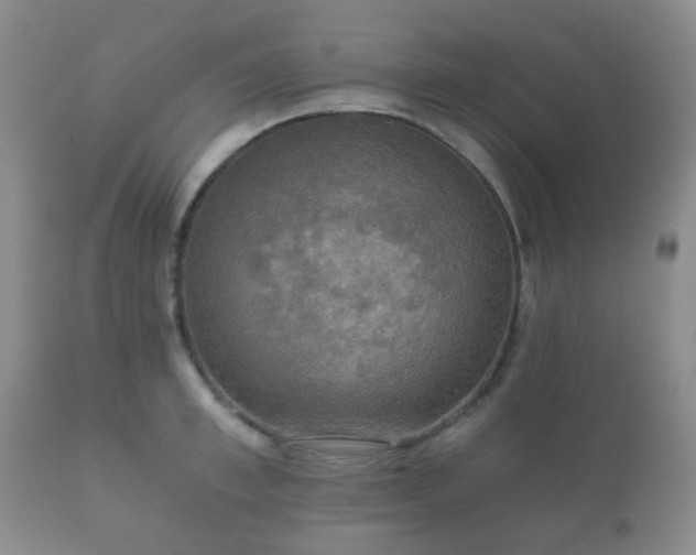 X0000112350997200908201435