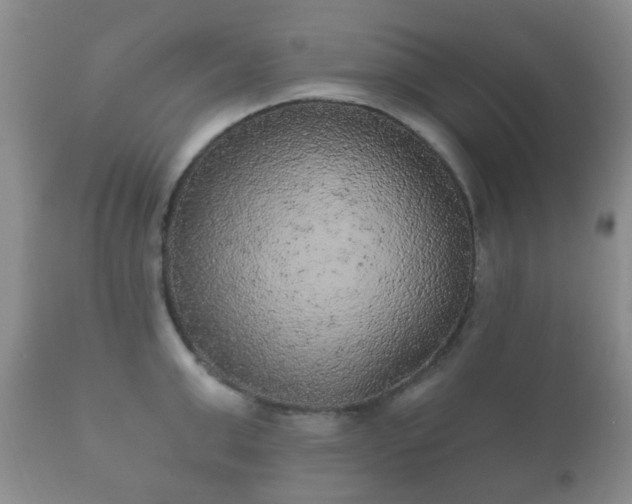 X0000112350999200908201435