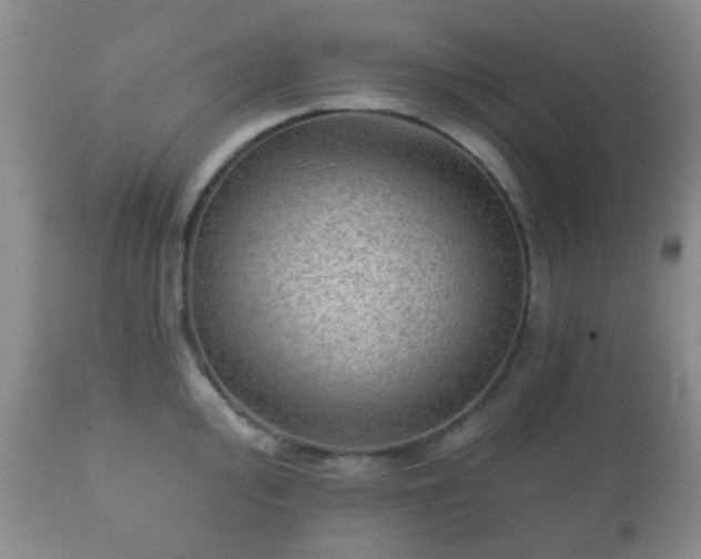 X0000112351000200908201435
