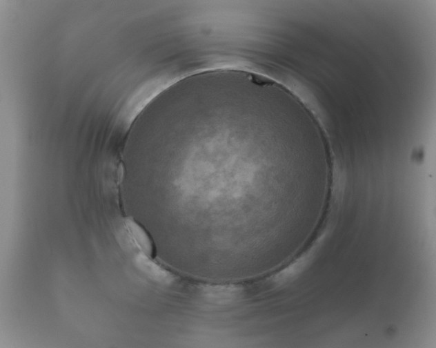X0000112351001200908201435