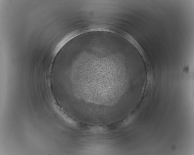 X0000112351002200908201435