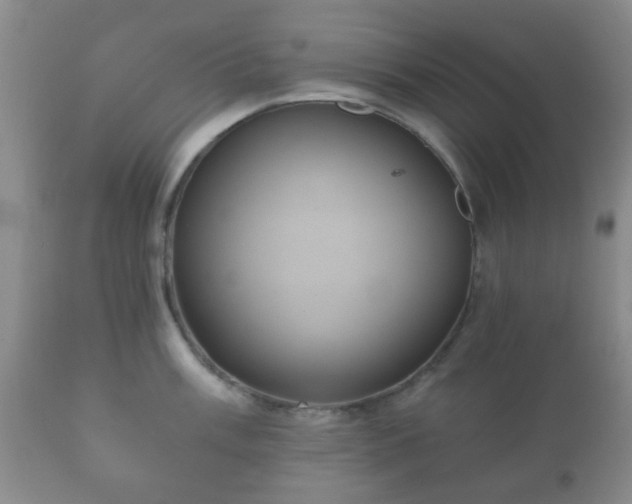 X0000112351003200908201435
