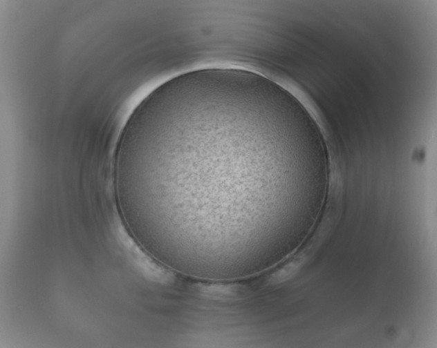 X0000112351004200908201435