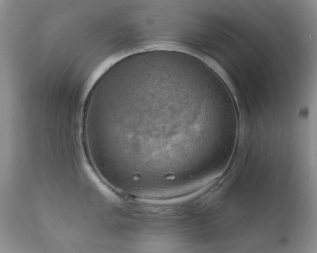 X0000112351005200908201435