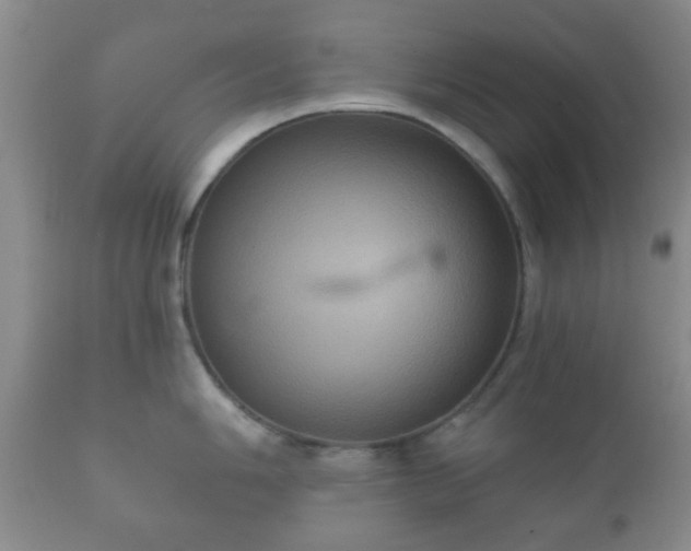X0000112351006200908201435