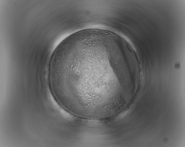 X0000112351007200908201435