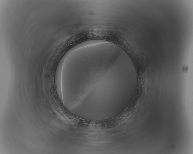 X0000112351009200908201435