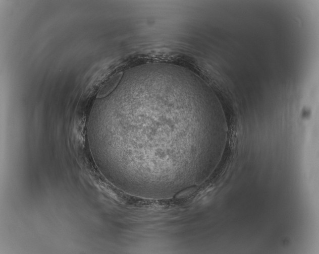 X0000112351010200908201435