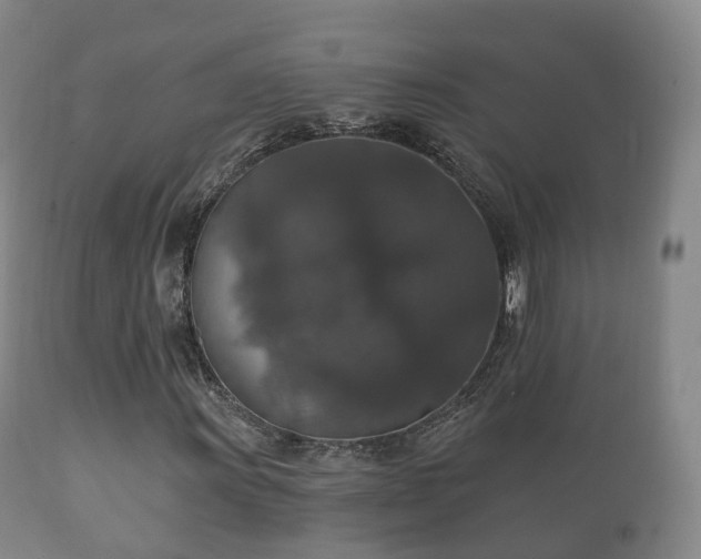X0000112351011200908201435