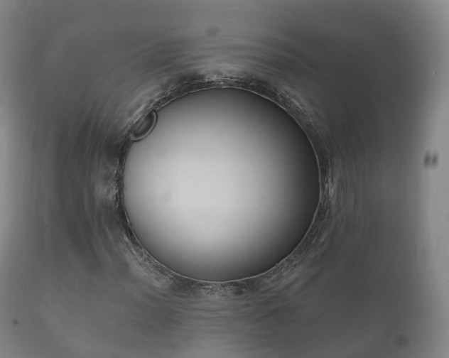 X0000112351012200908201435