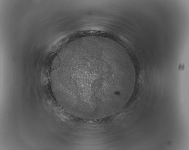 X0000112351014200908201435