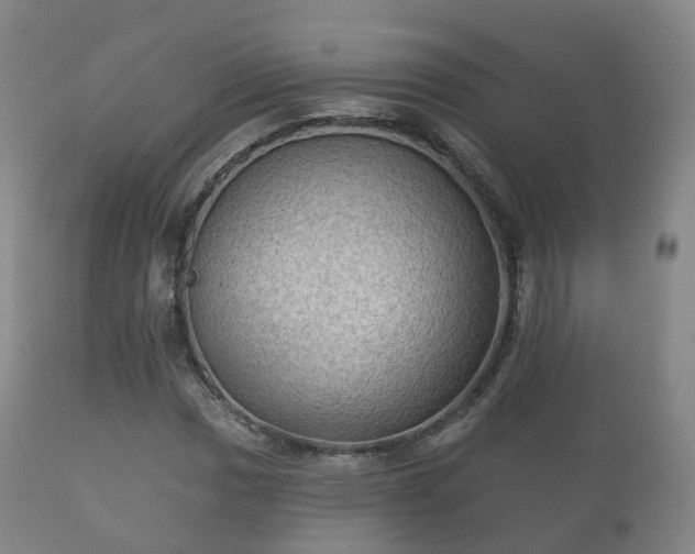 X0000112351017200908201435