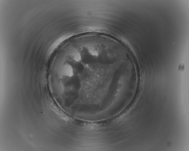 X0000112351019200908201435