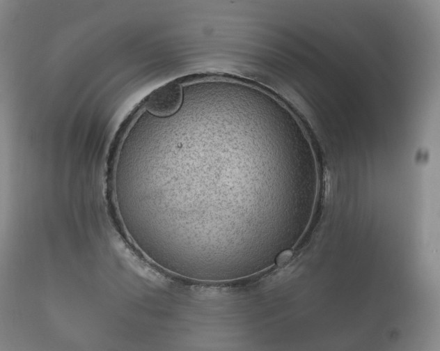 X0000112351020200908201435