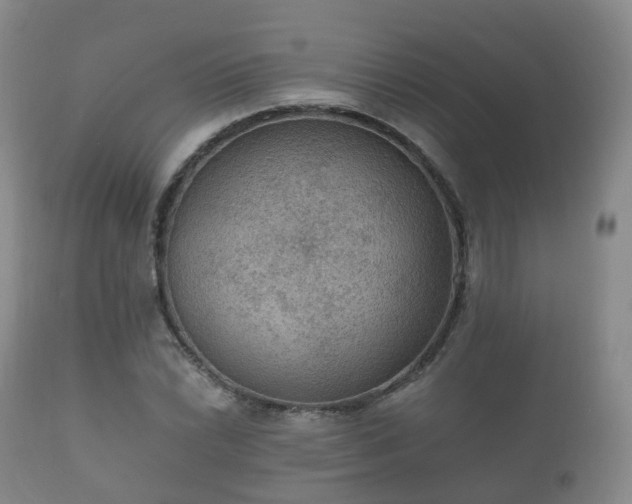 X0000112351022200908201435