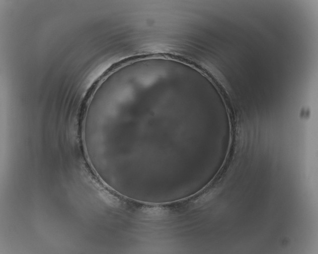X0000112351023200908201435