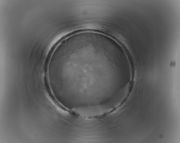 X0000112351024200908201435
