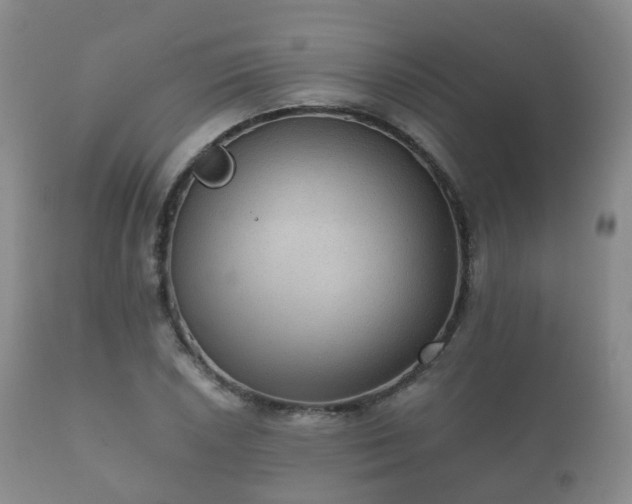 X0000112351026200908201435