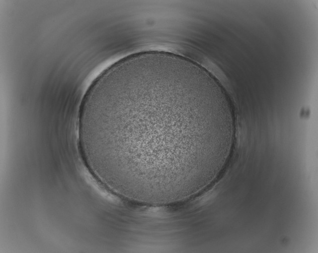 X0000112351028200908201435
