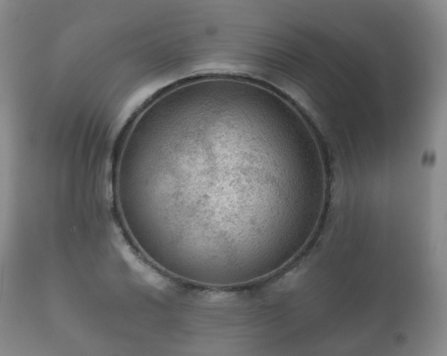 X0000112351030200908201435