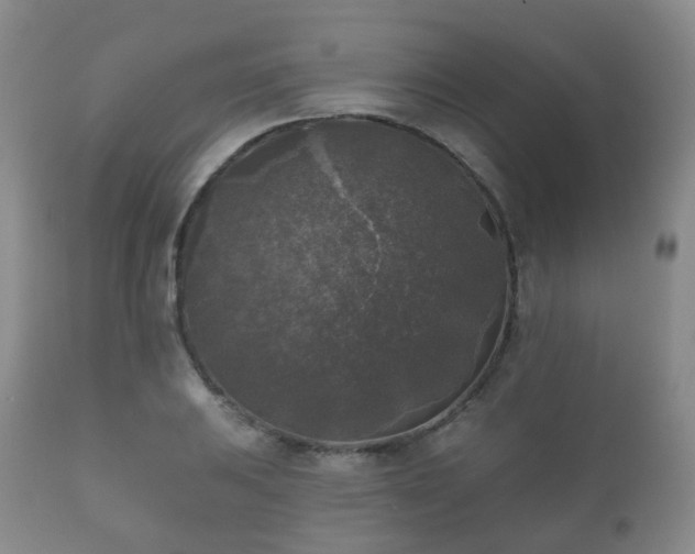 X0000112351031200908201435