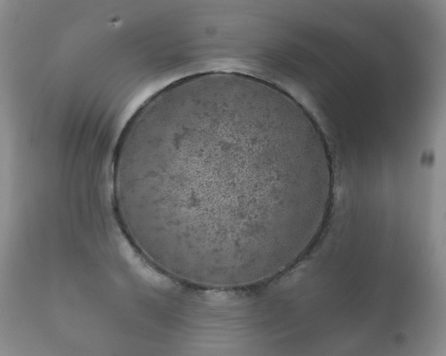 X0000112351032200908201435