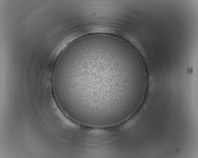 X0000112351033200908201435