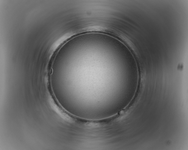X0000112351034200908201435