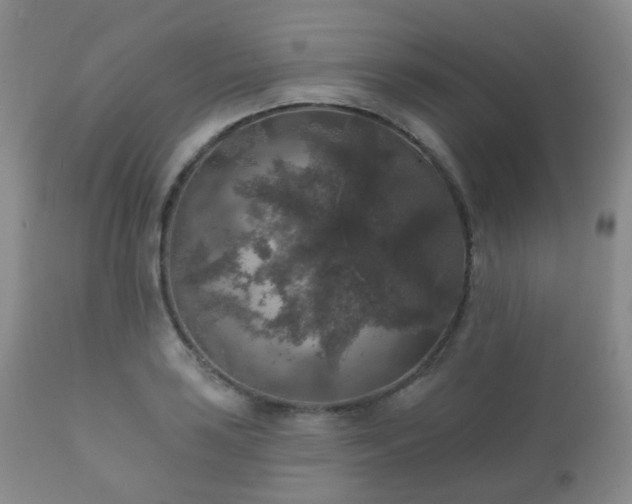 X0000112351035200908201435