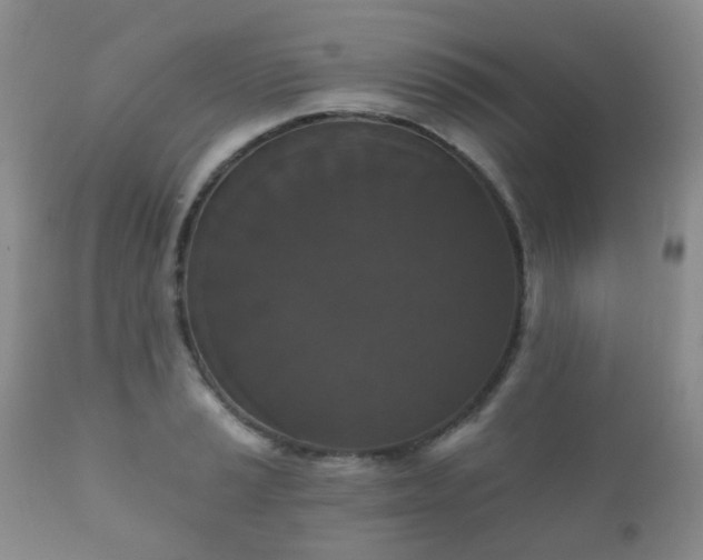 X0000112351037200908201435