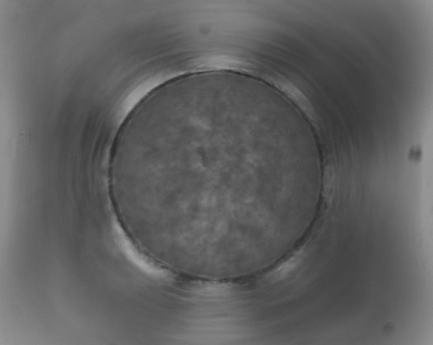 X0000112351039200908201435