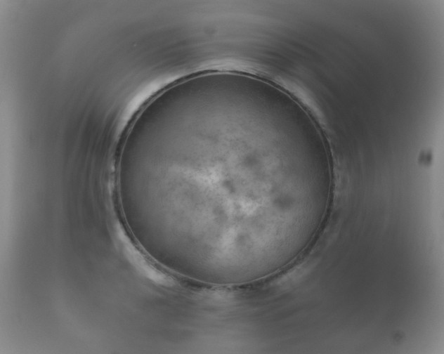X0000112351040200908201435