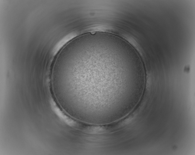 X0000112351042200908201435