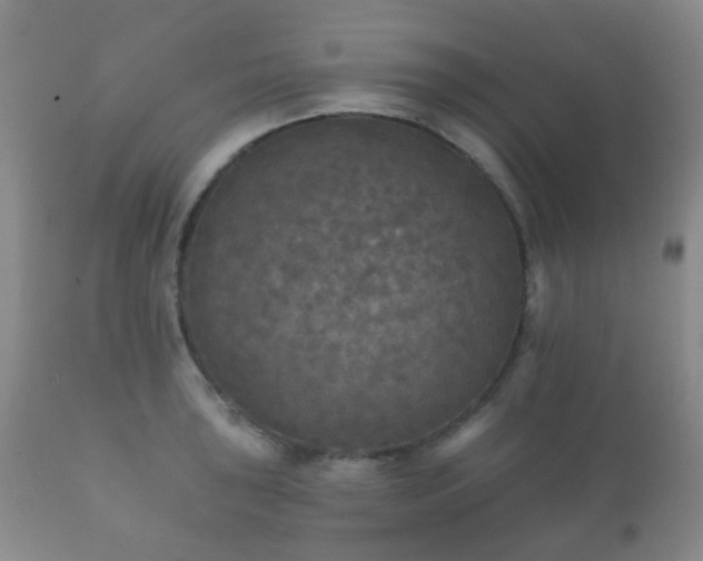 X0000112351043200908201435
