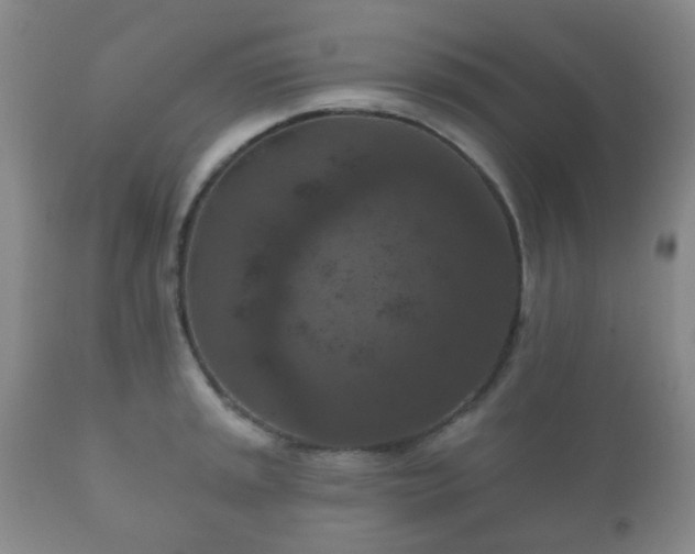 X0000112351045200908201435