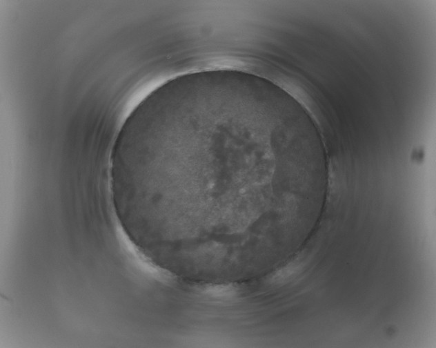 X0000112351047200908201435