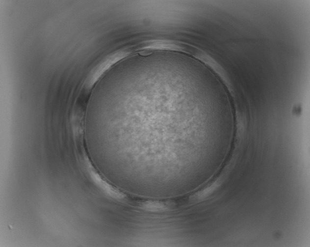 X0000112351049200908201435