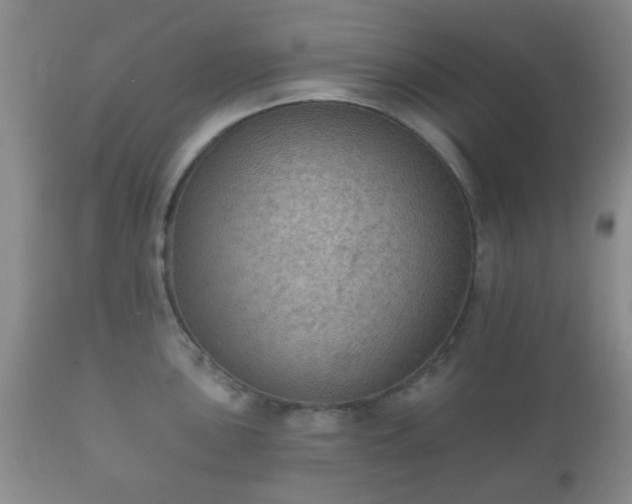 X0000112351051200908201435